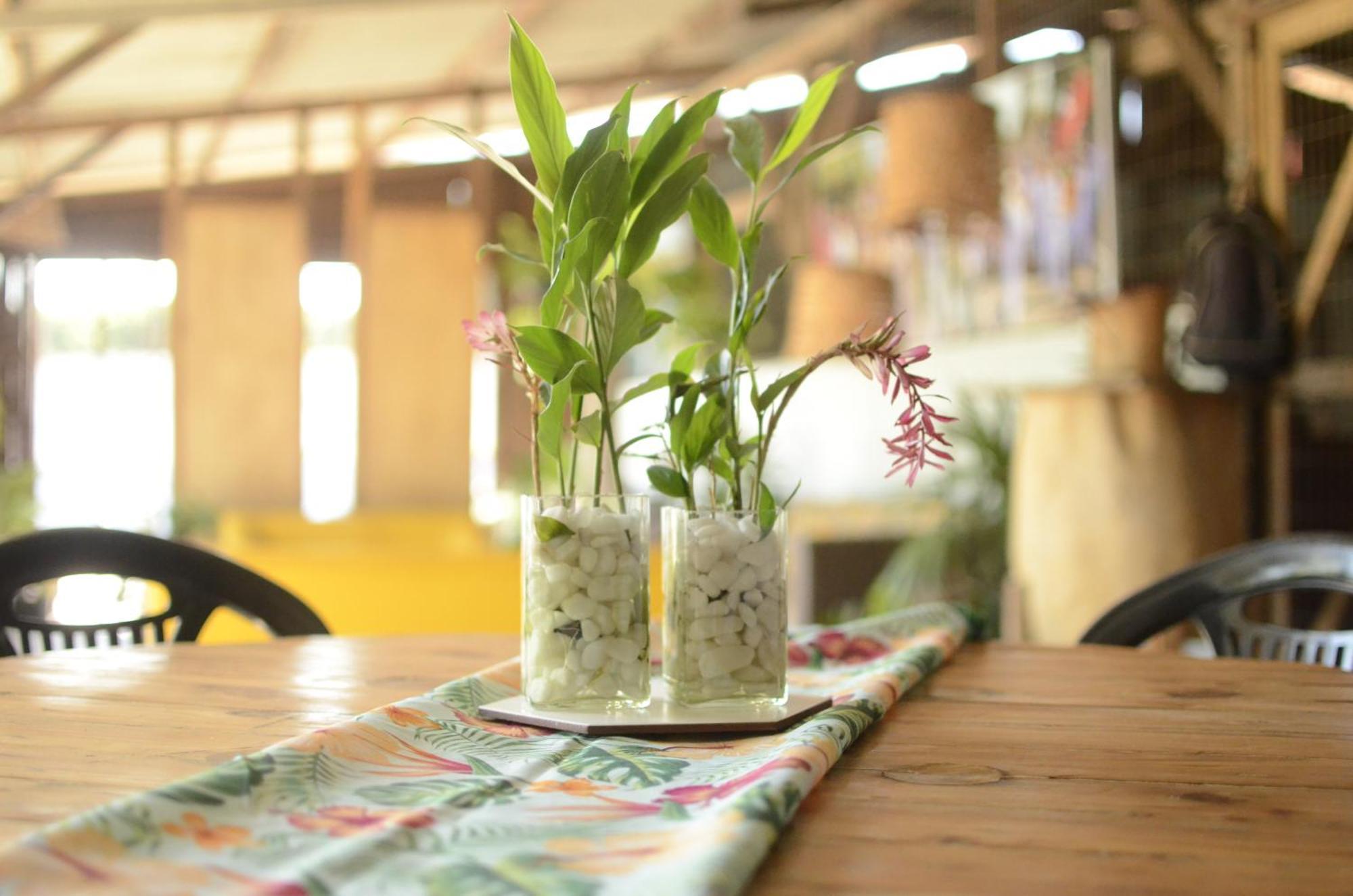 Espaco Saire - อัลเตร์ ดู เชา ภายนอก รูปภาพ